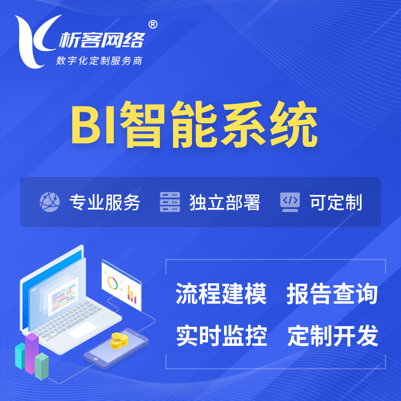 甘南藏族BI智能系统 | BI数据可视化